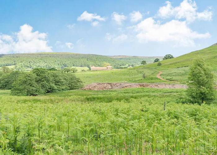 Casa vacanze The Wheel House