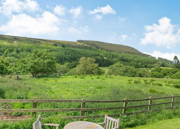 The Wheel House * Potto