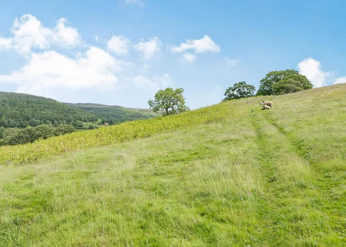 Casa vacanze The Wheel House *